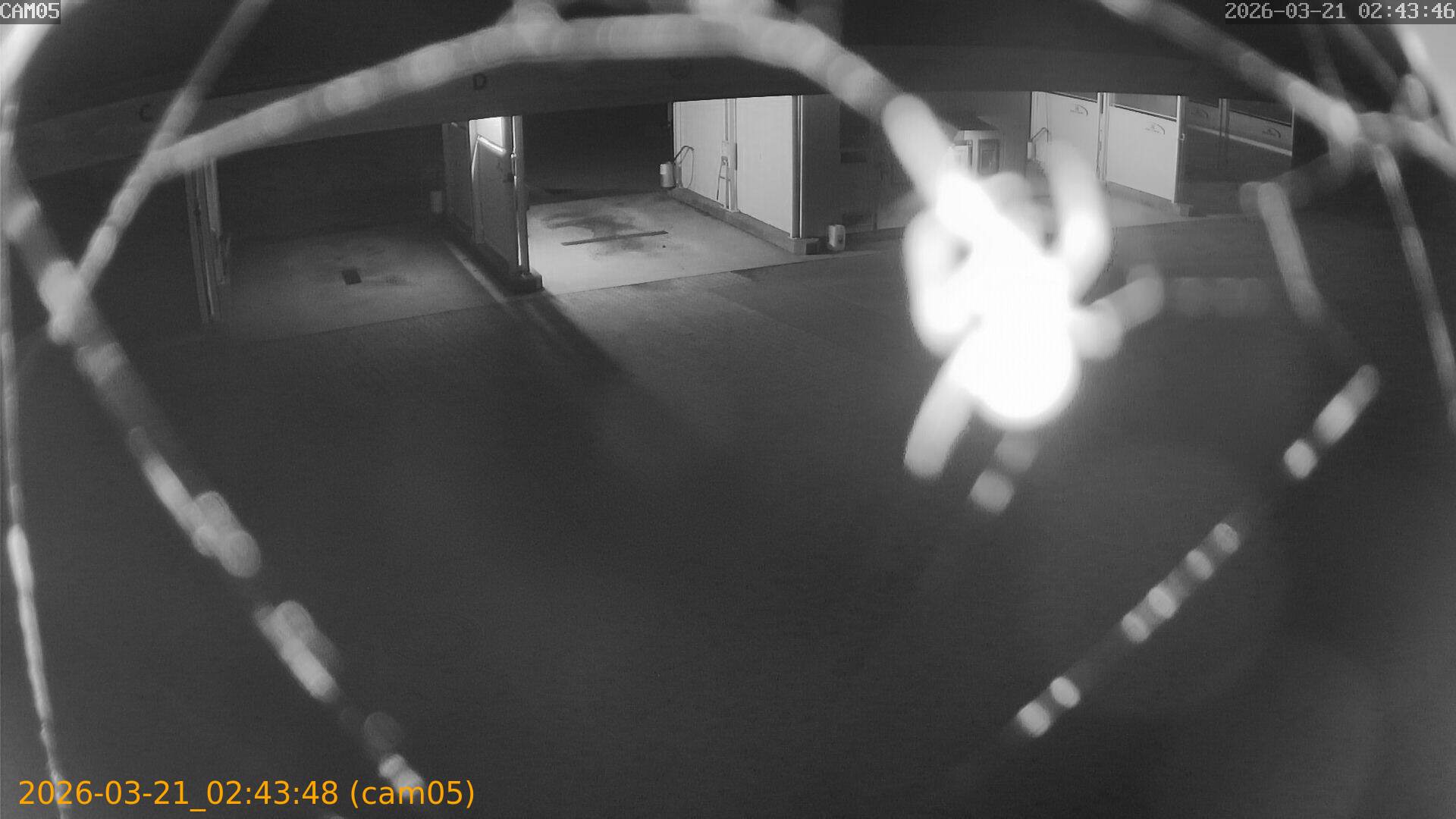 thumbnail_20260321024348