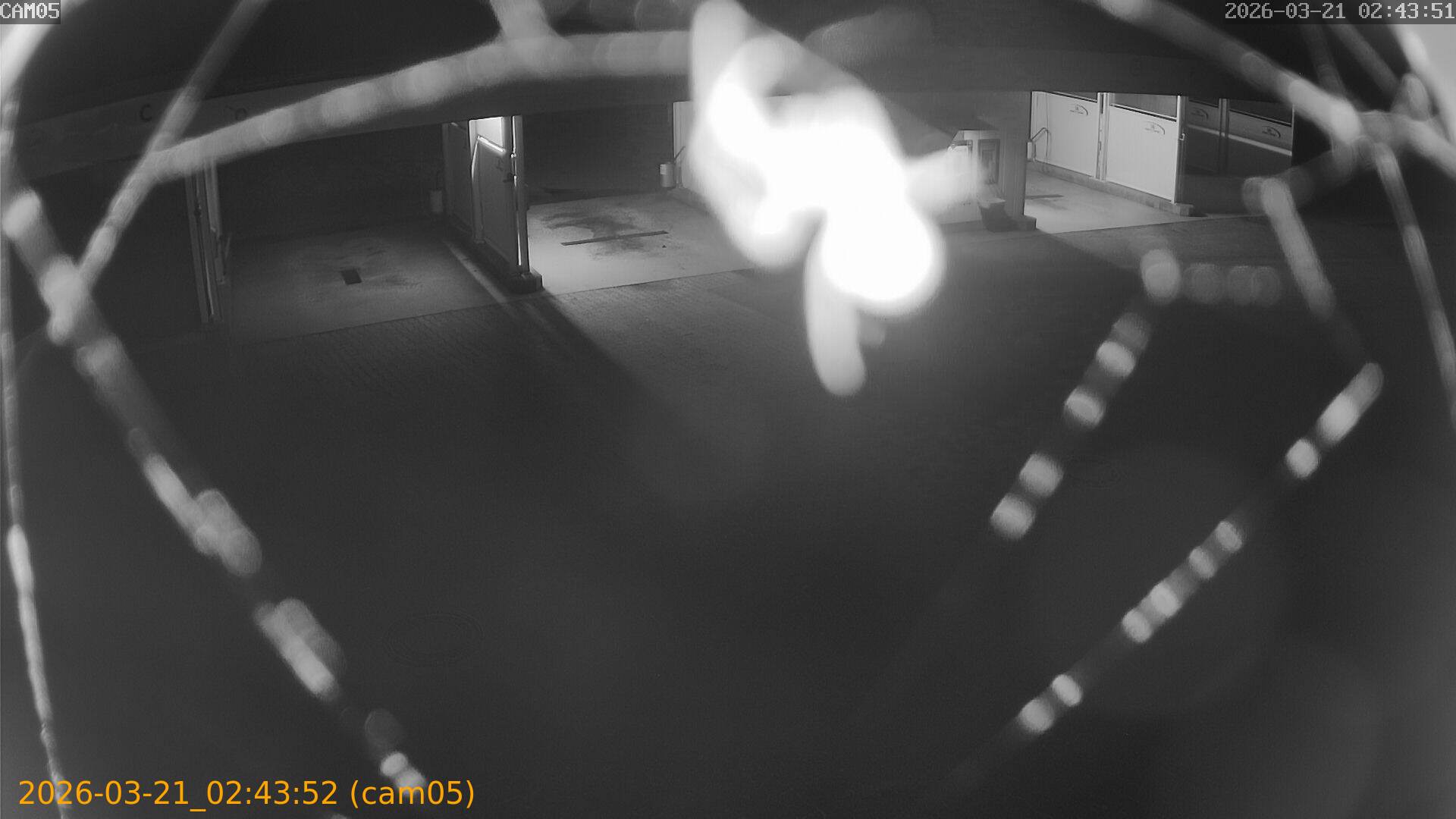 thumbnail_20260321024352