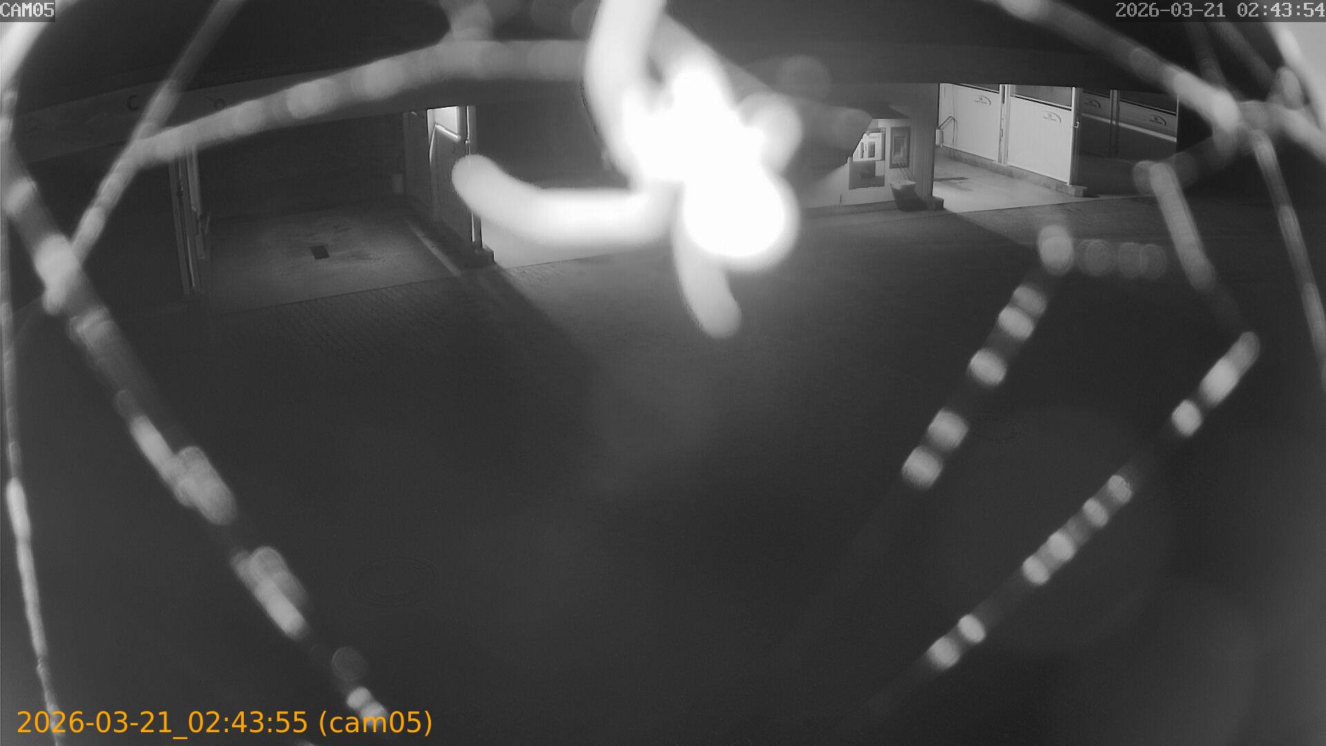 thumbnail_20260321024355