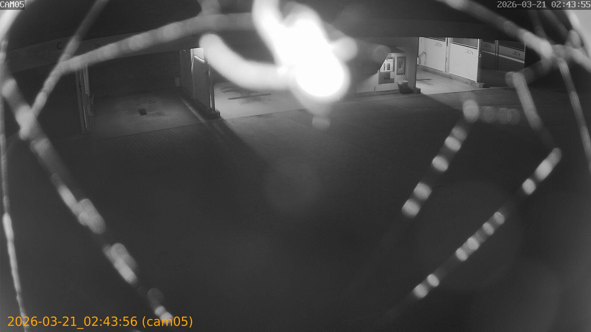 thumbnail_20260321024356