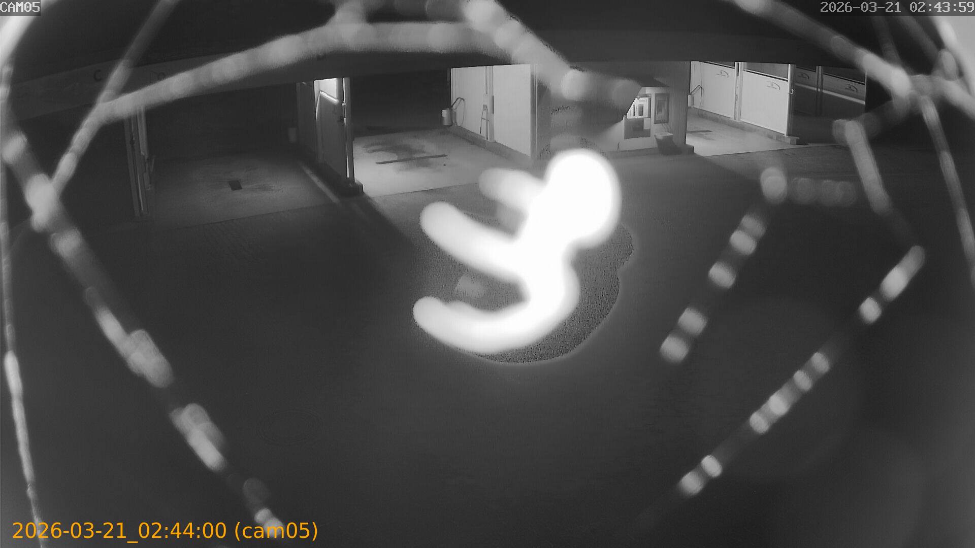 thumbnail_20260321024400