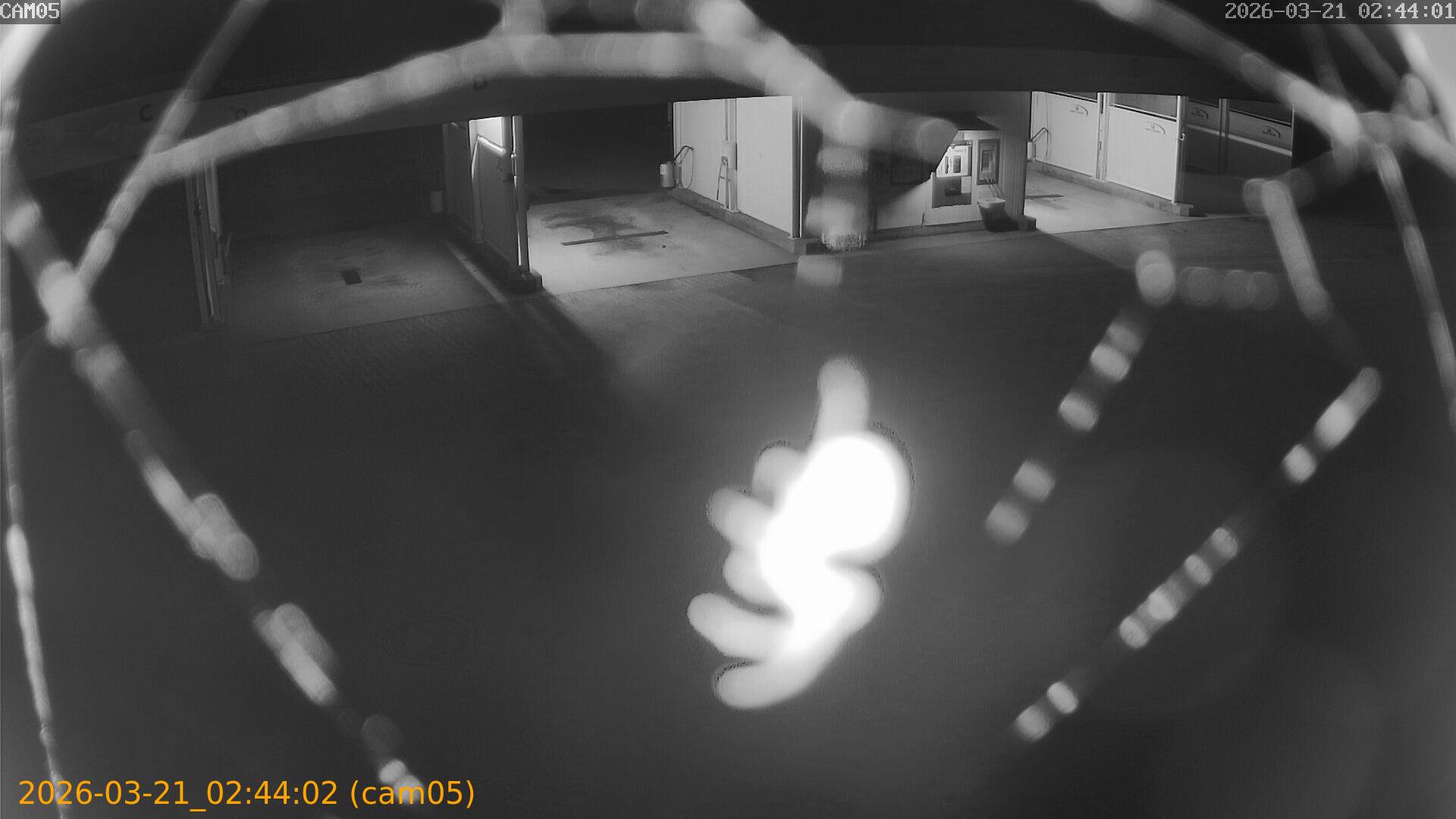 thumbnail_20260321024402