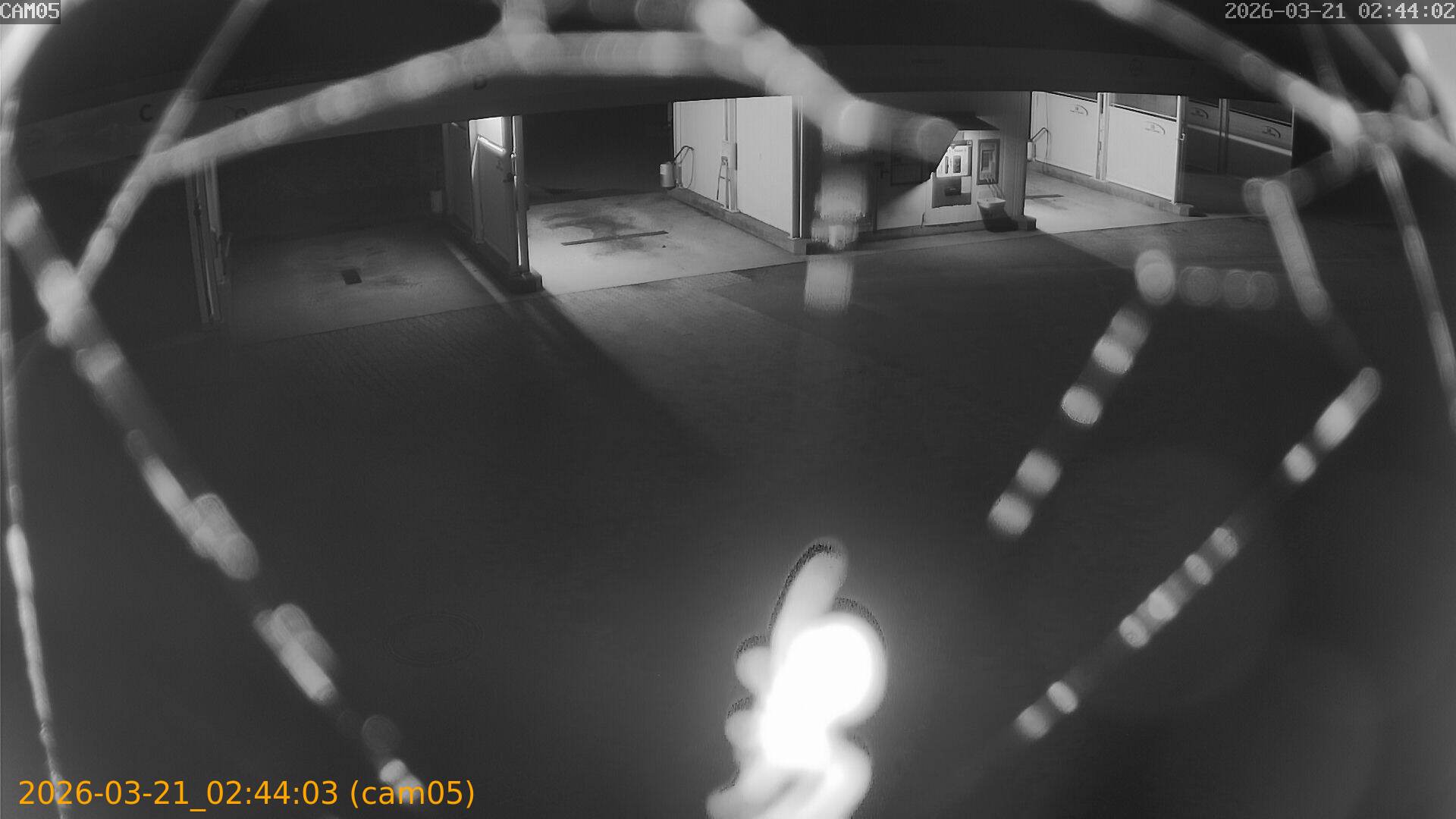 thumbnail_20260321024403