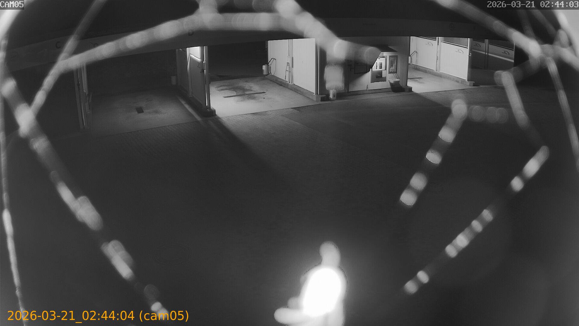 thumbnail_20260321024404