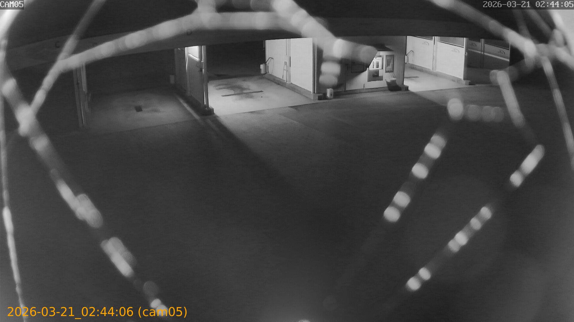 thumbnail_20260321024406