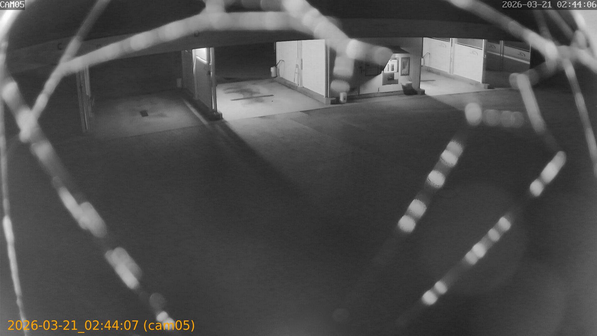 thumbnail_20260321024407