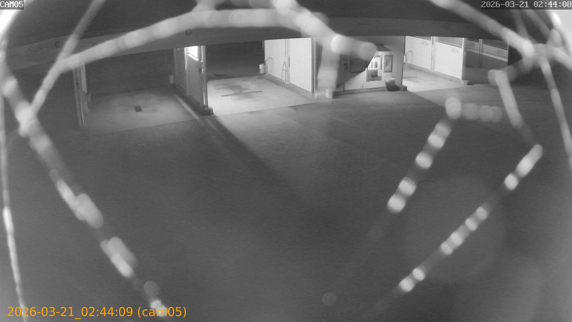 thumbnail_20260321024409