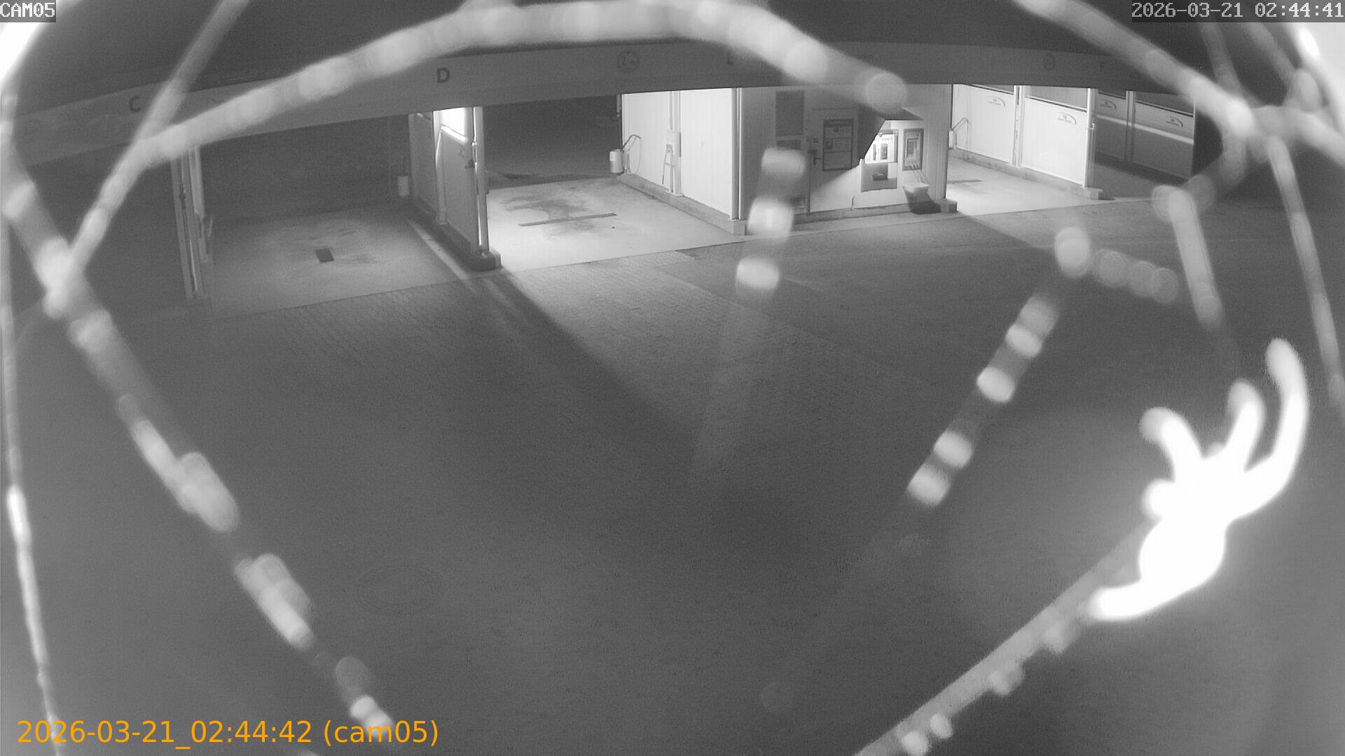 thumbnail_20260321024442