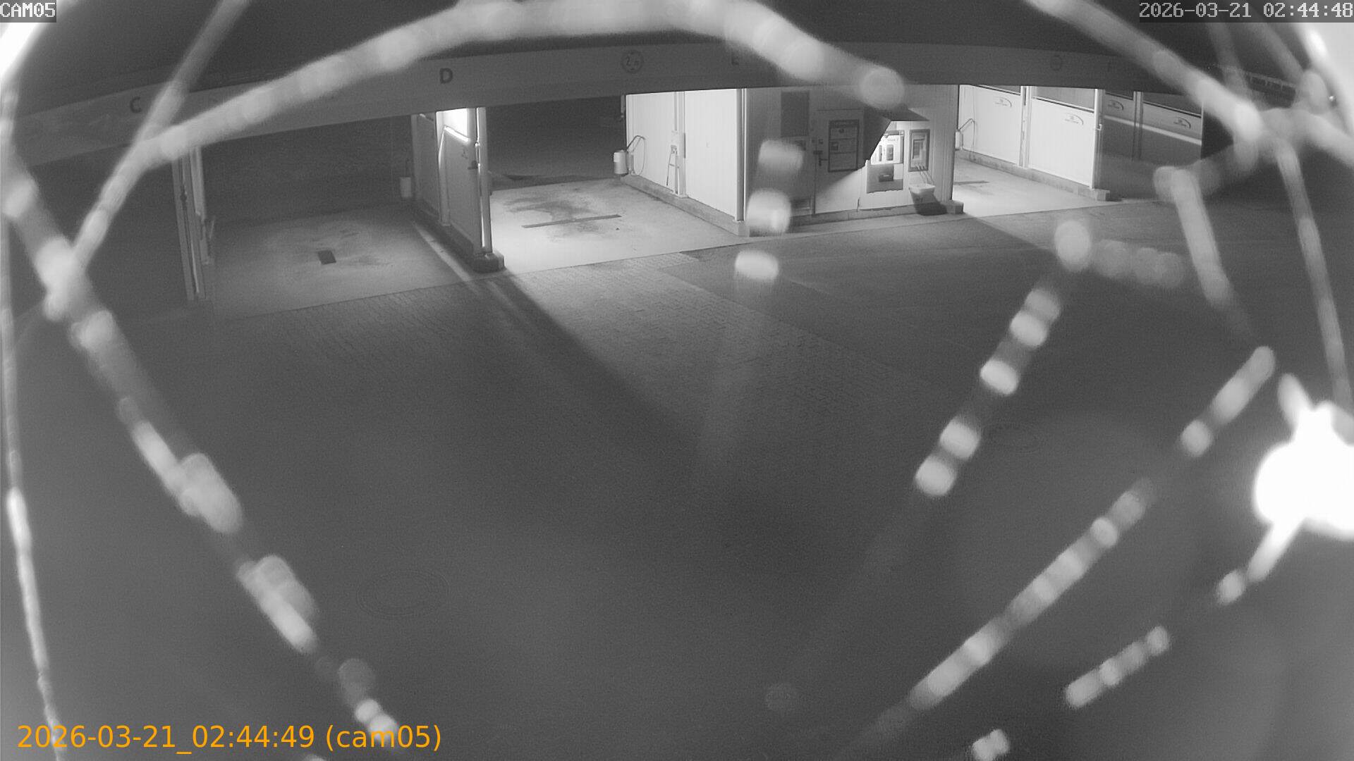 thumbnail_20260321024449