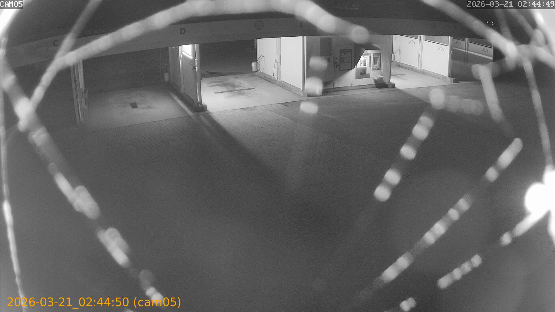 thumbnail_20260321024450