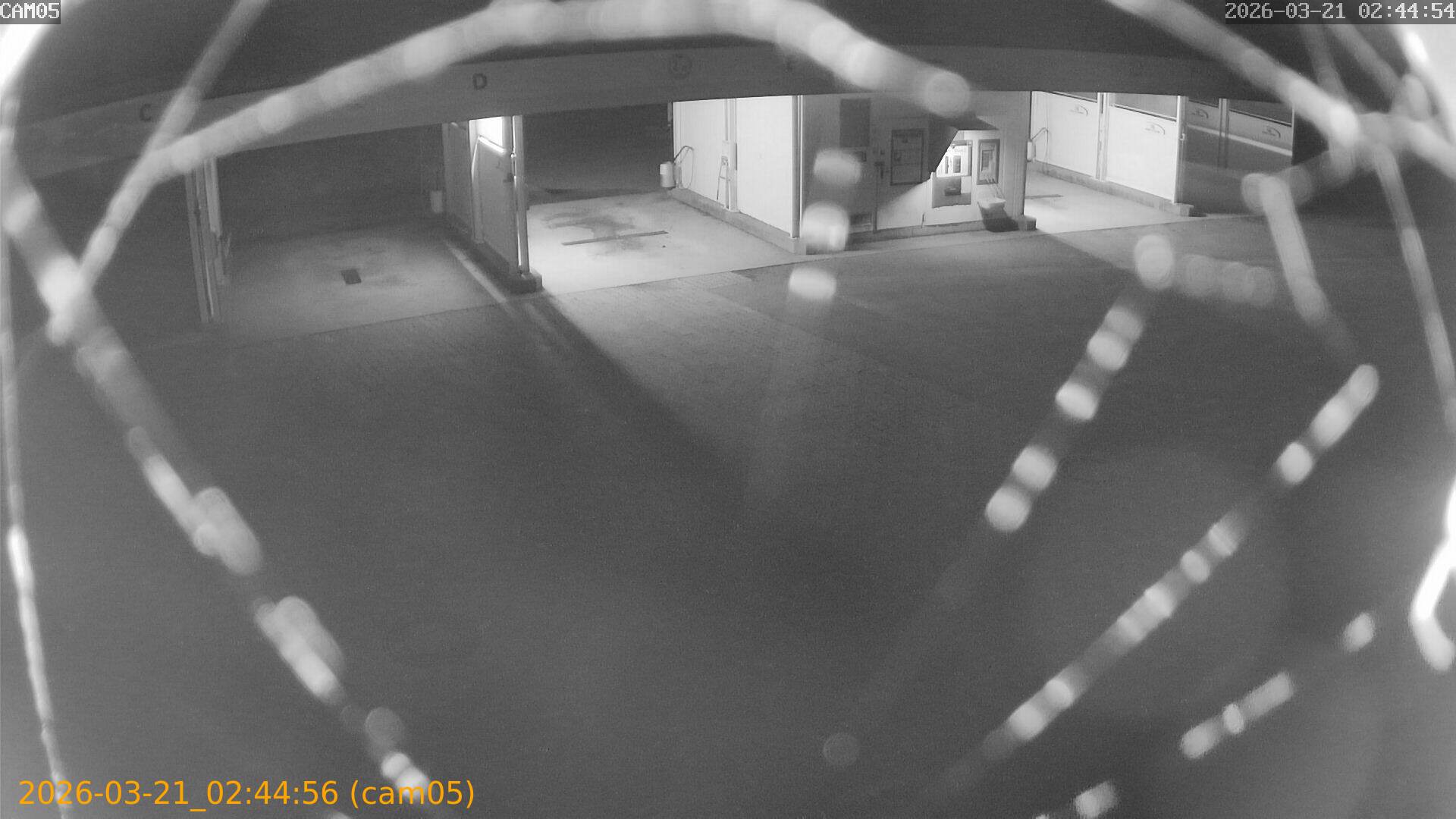 thumbnail_20260321024456