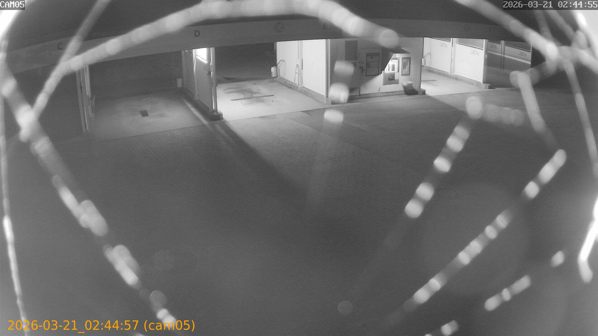 thumbnail_20260321024457