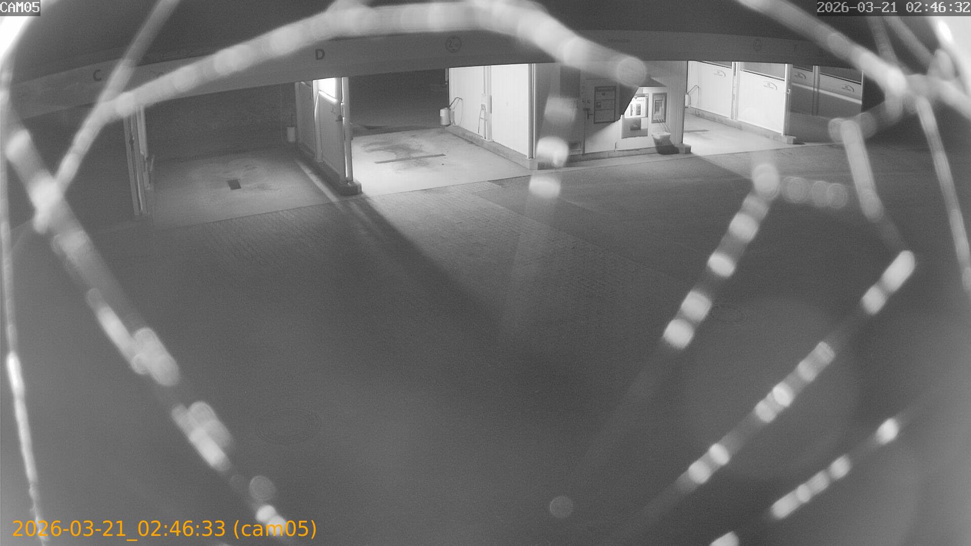 thumbnail_20260321024633