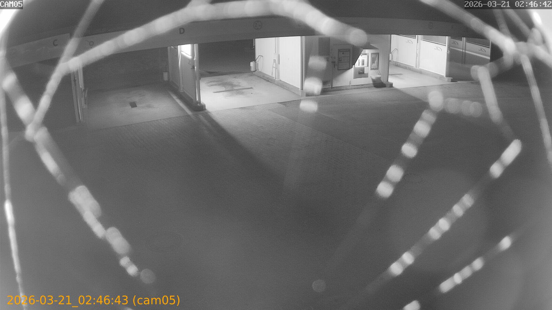 thumbnail_20260321024643