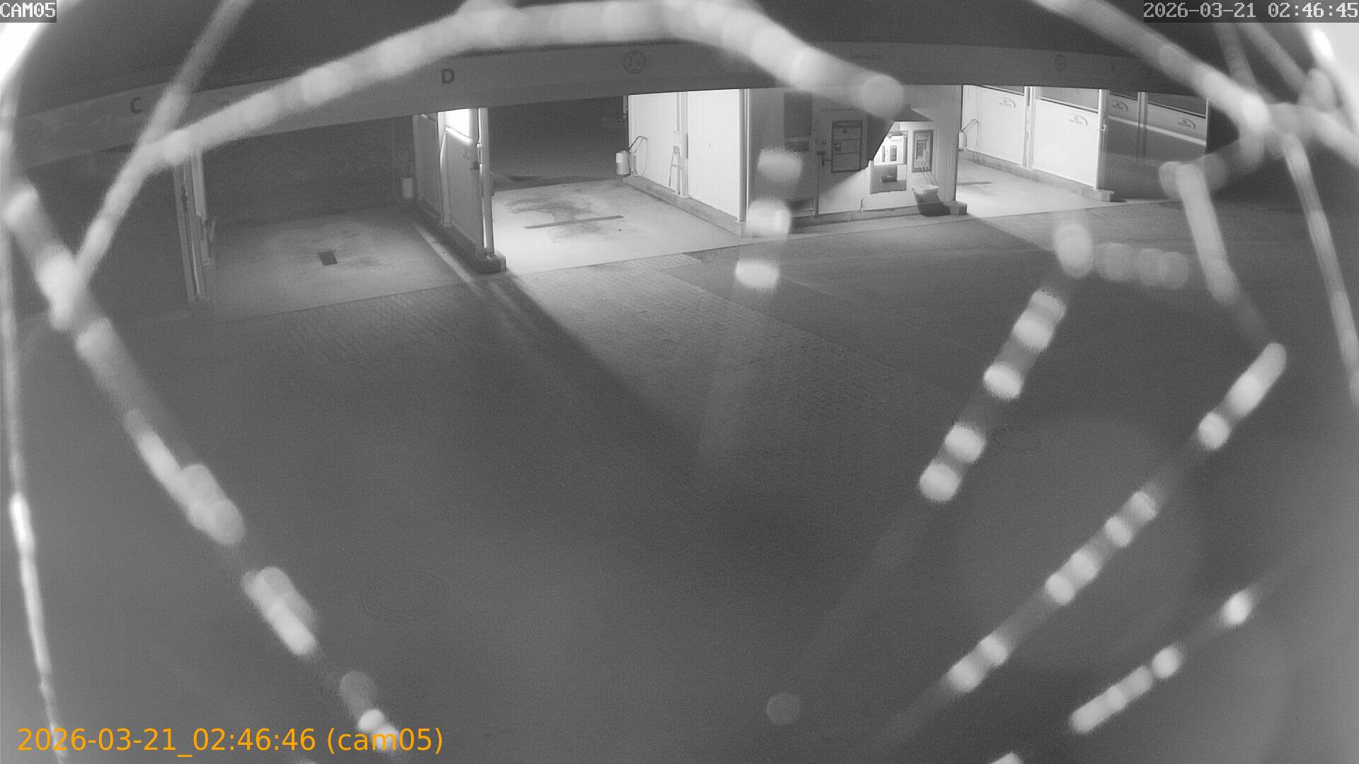 thumbnail_20260321024646