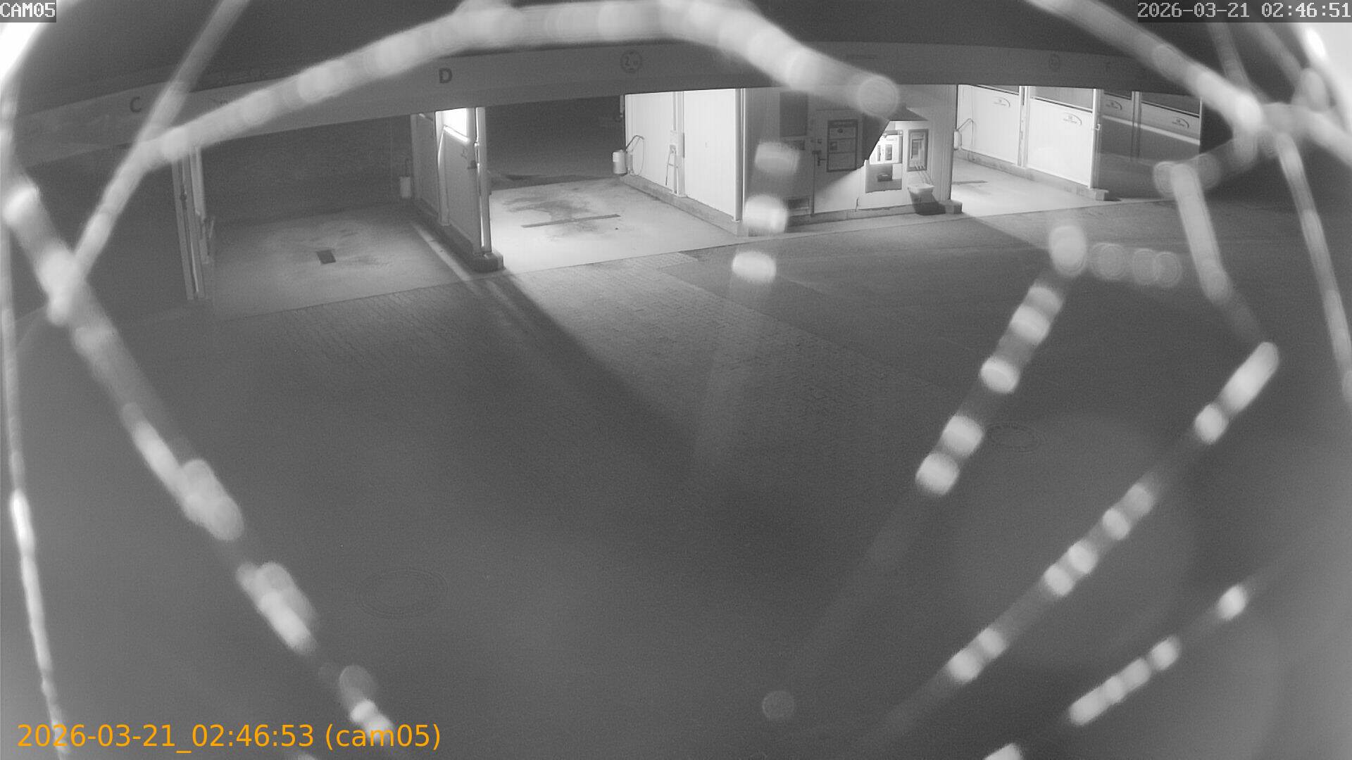 thumbnail_20260321024653