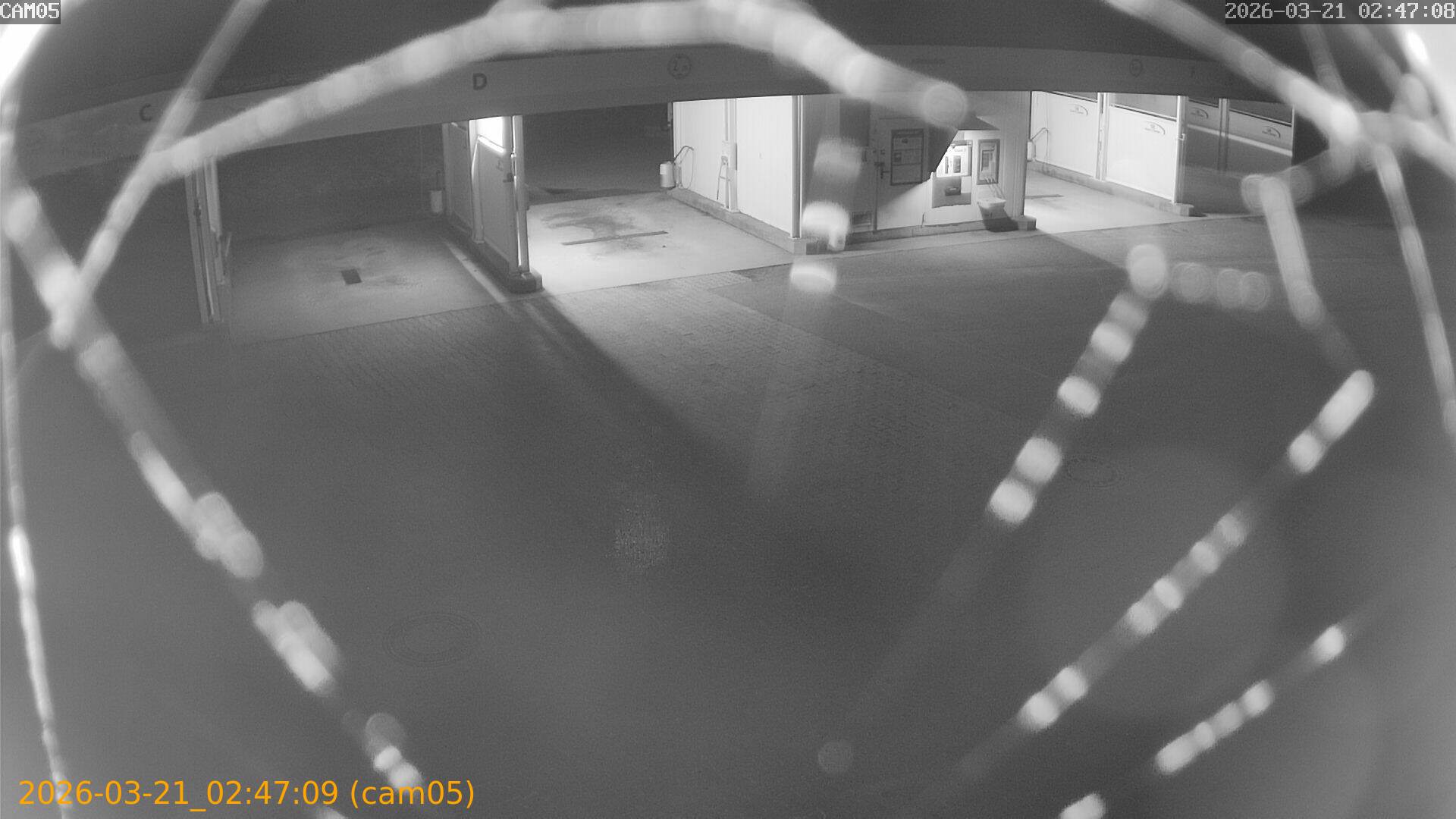 thumbnail_20260321024709