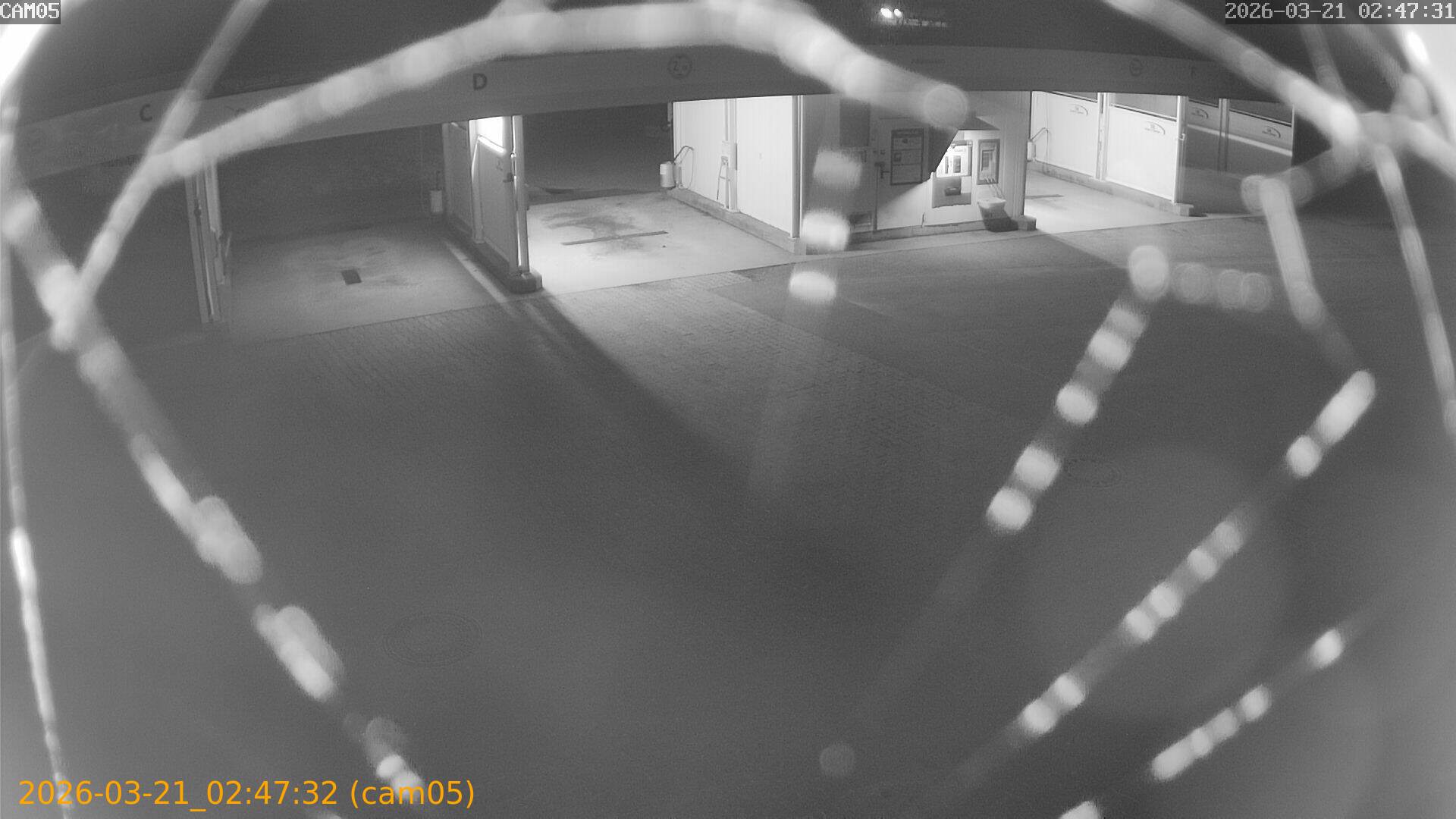 thumbnail_20260321024732