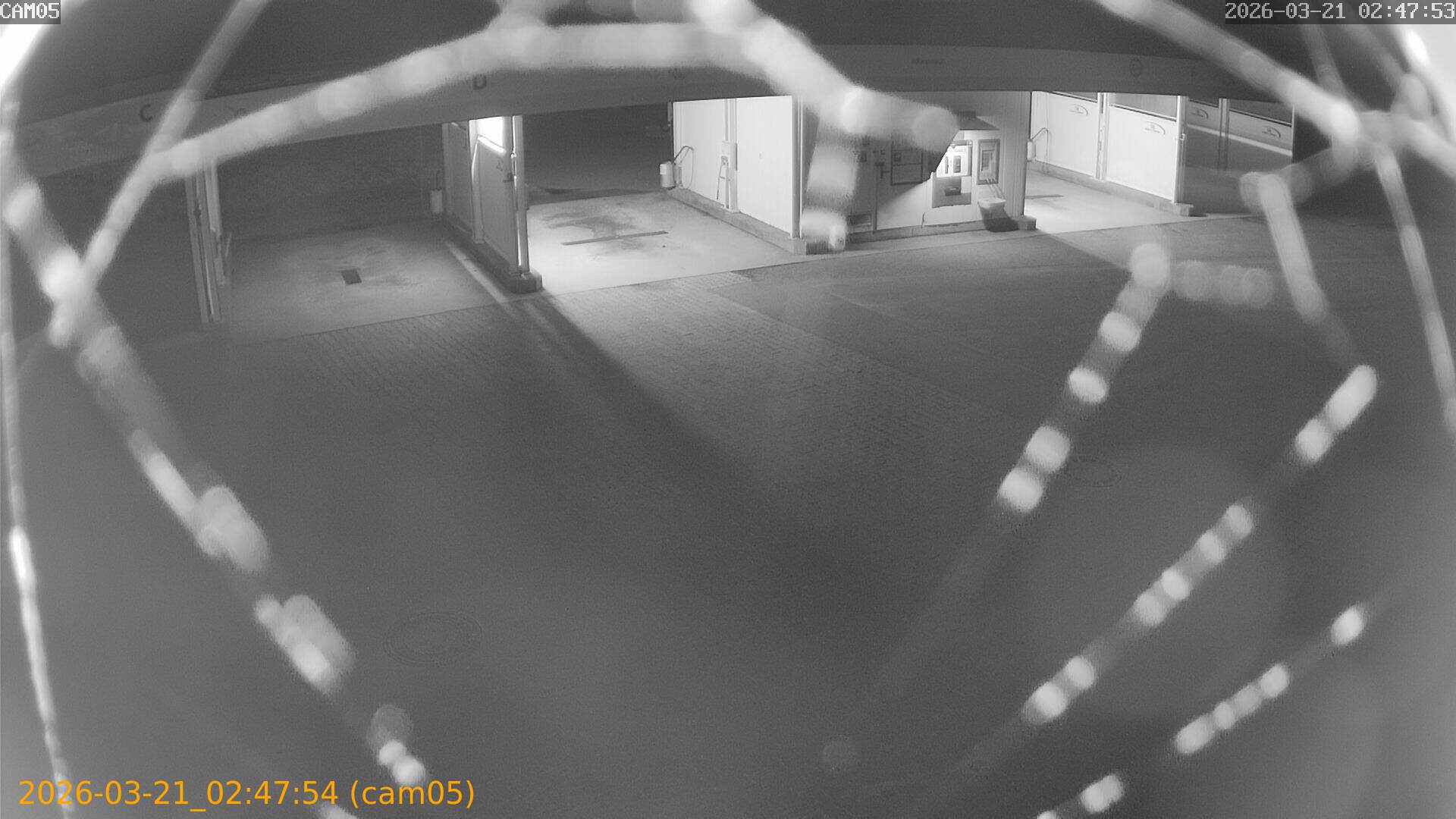 thumbnail_20260321024754