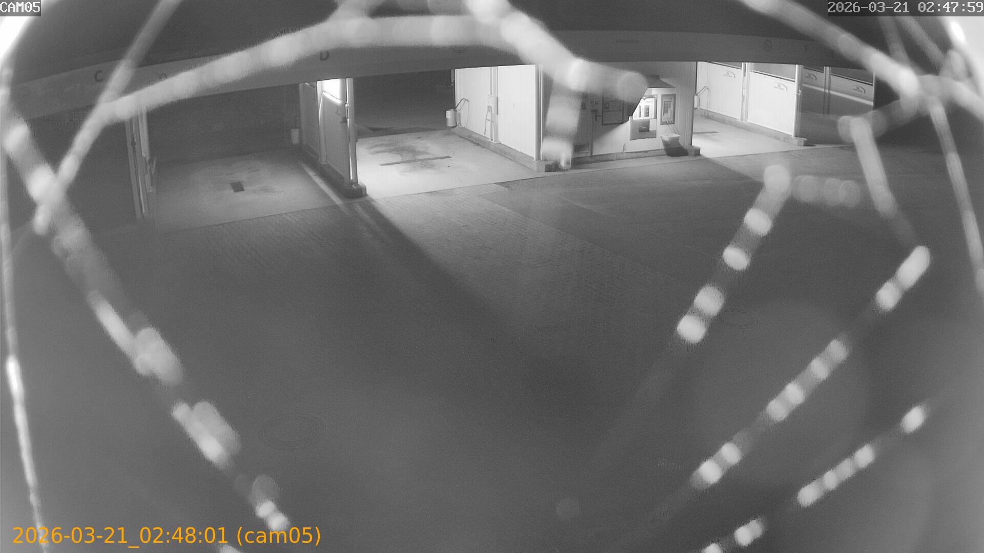 thumbnail_20260321024801