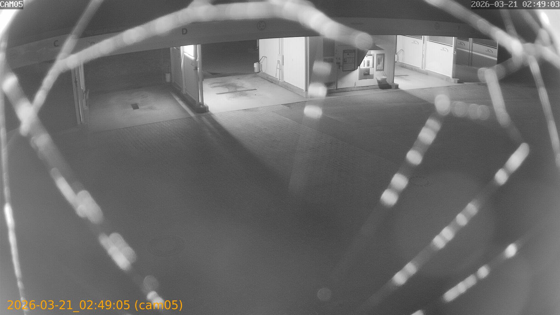 thumbnail_20260321024905