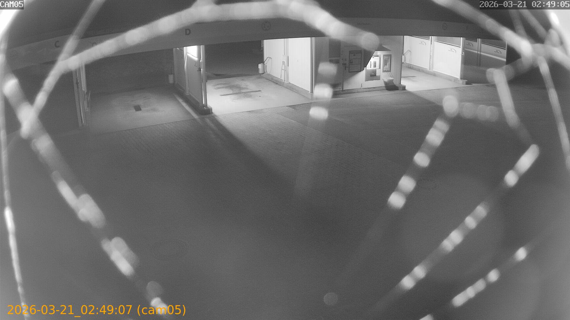 thumbnail_20260321024907