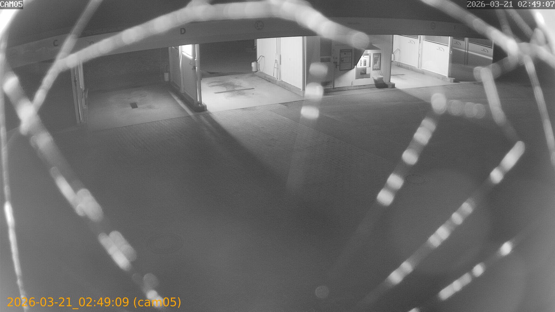 thumbnail_20260321024909