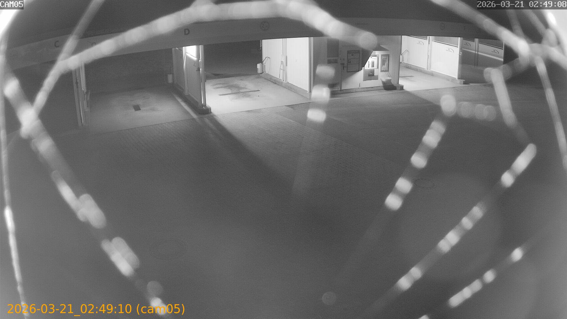 thumbnail_20260321024910