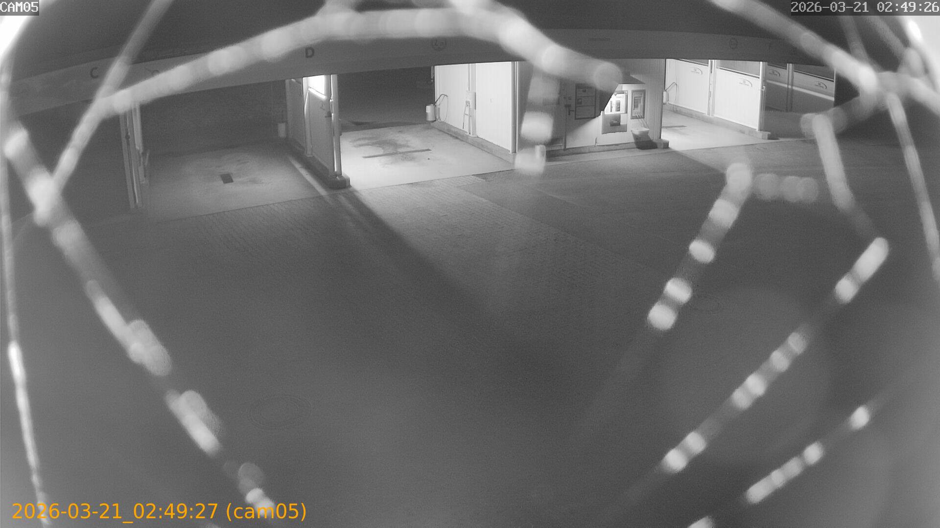 thumbnail_20260321024927