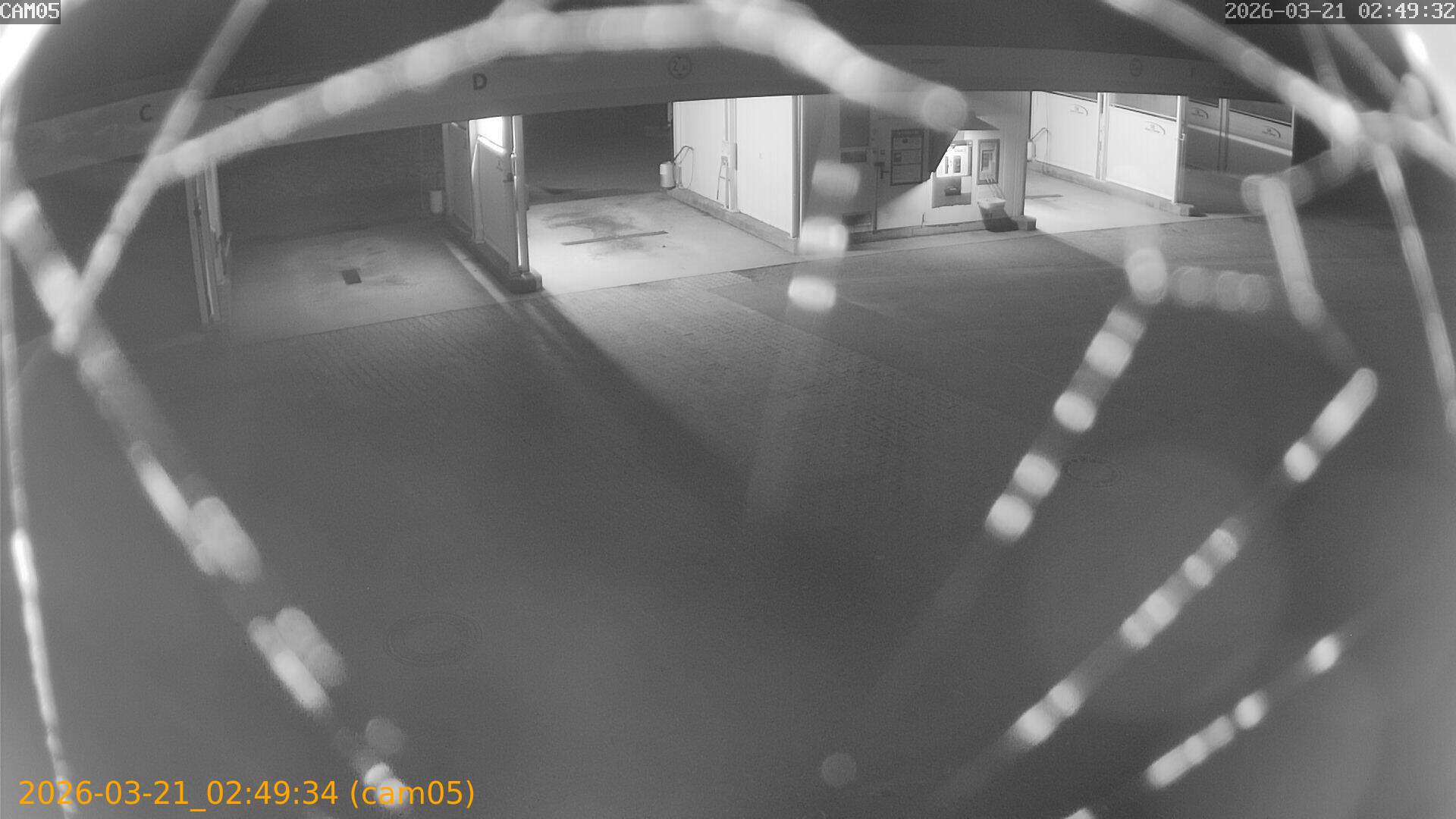 thumbnail_20260321024934