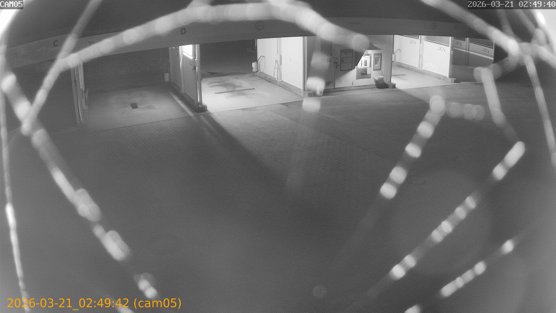 thumbnail_20260321024942