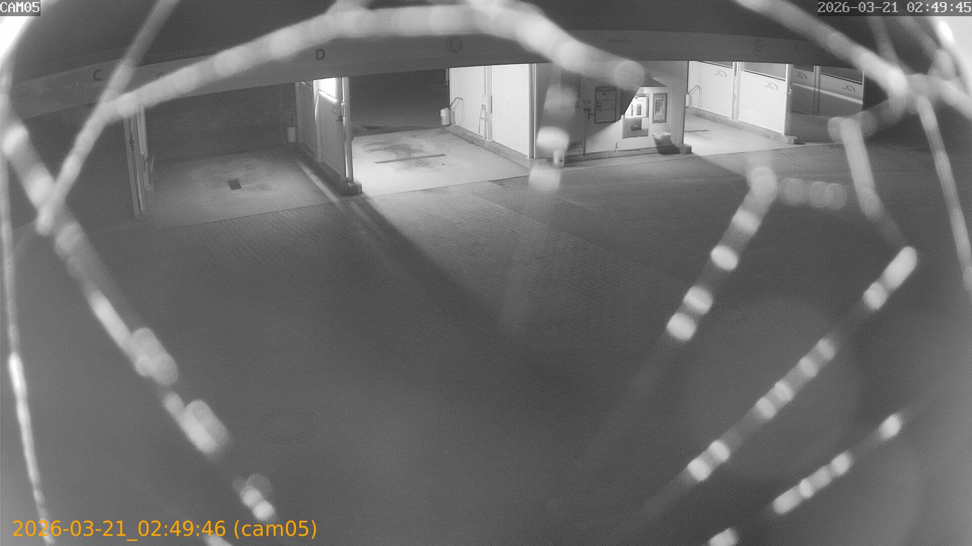 thumbnail_20260321024946