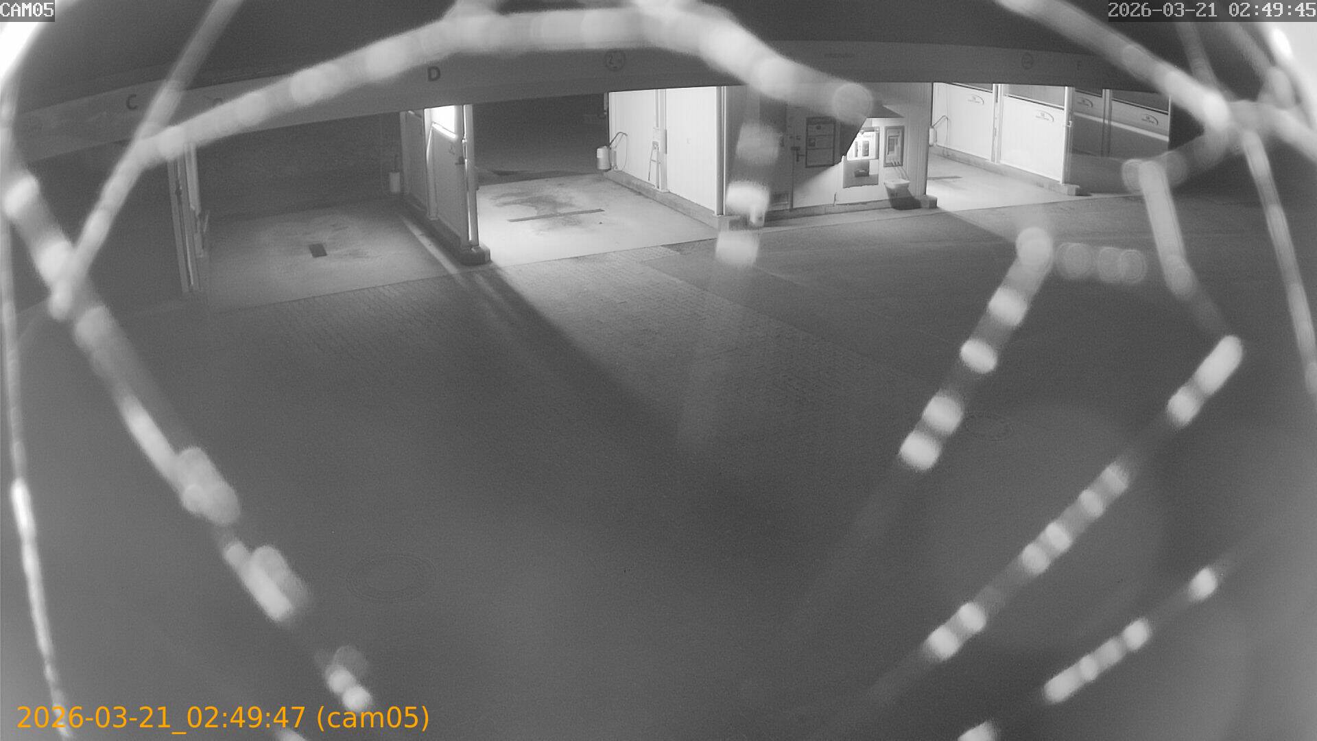 thumbnail_20260321024947