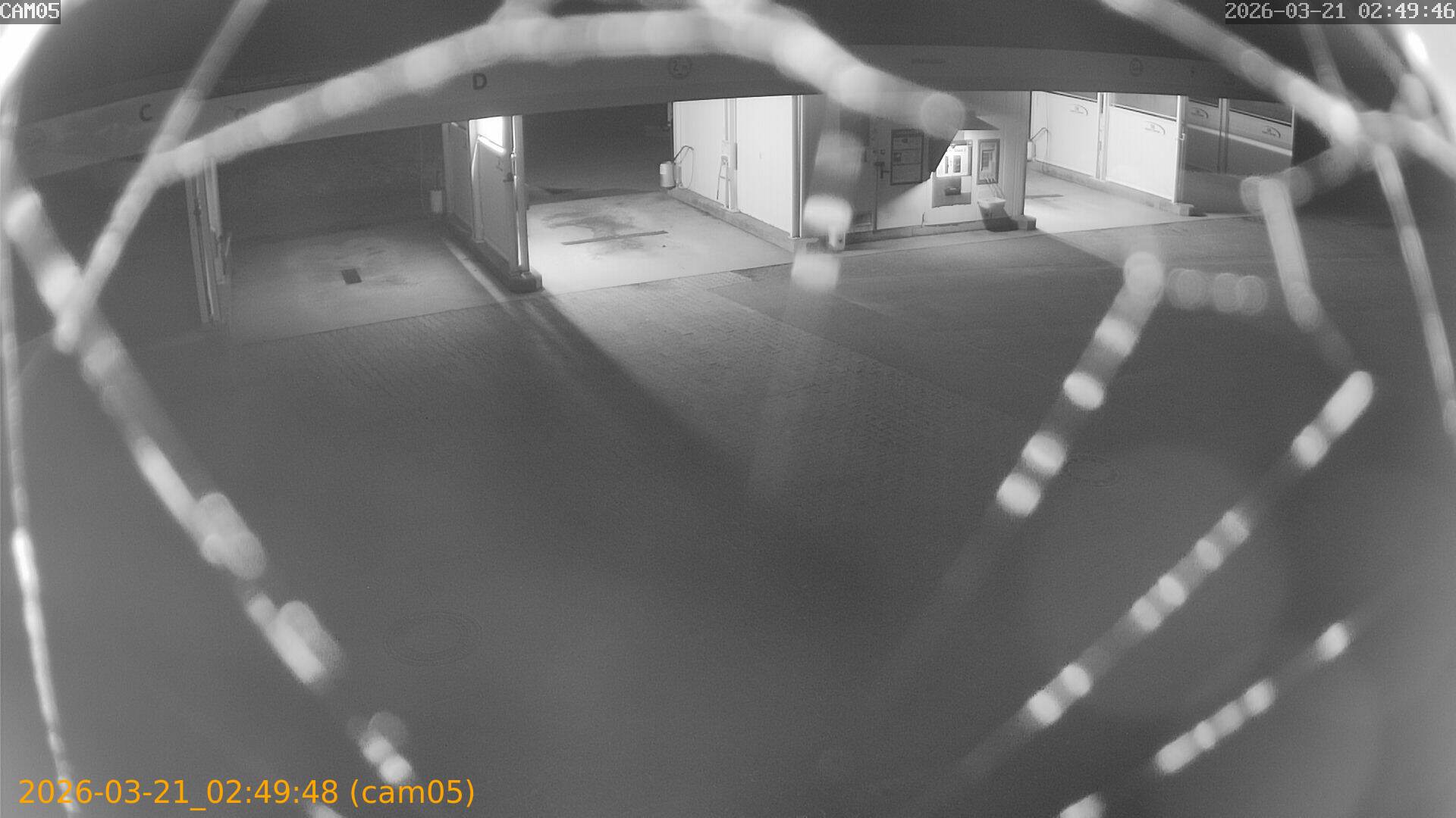 thumbnail_20260321024948