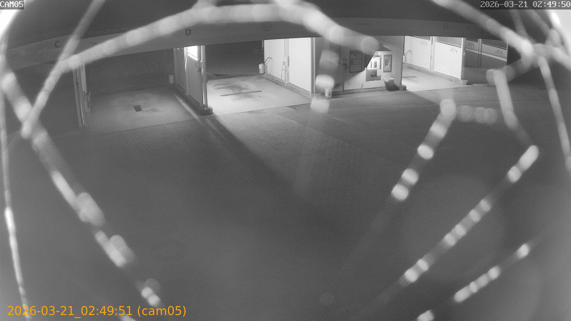 thumbnail_20260321024951