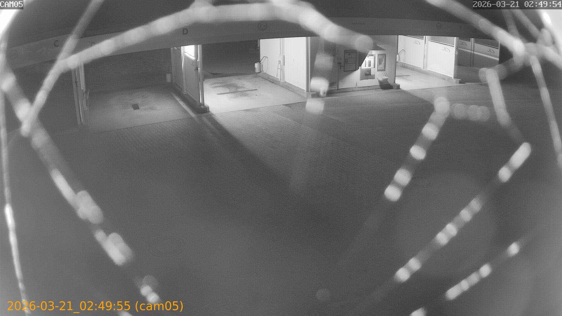 thumbnail_20260321024955