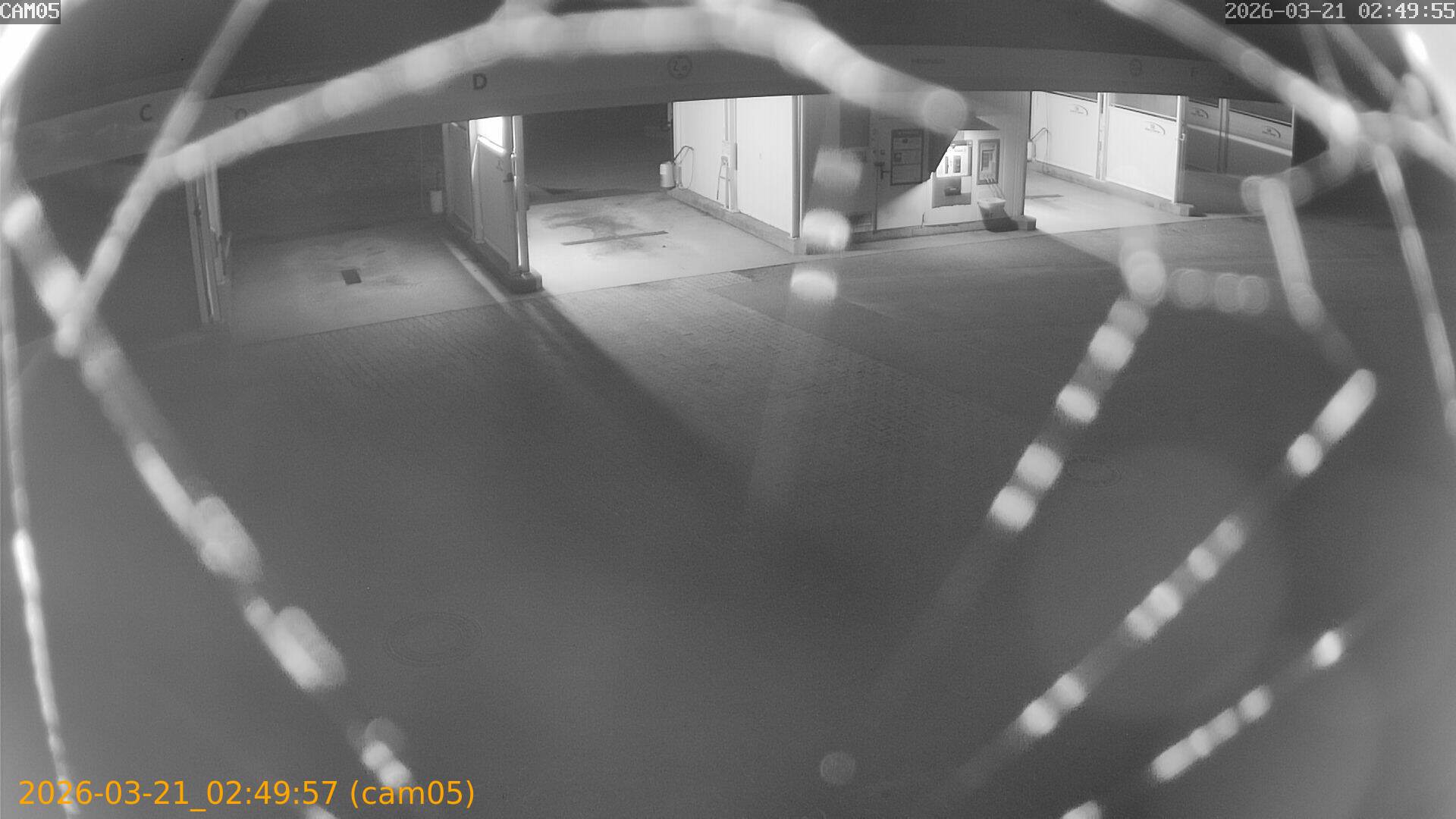 thumbnail_20260321024957