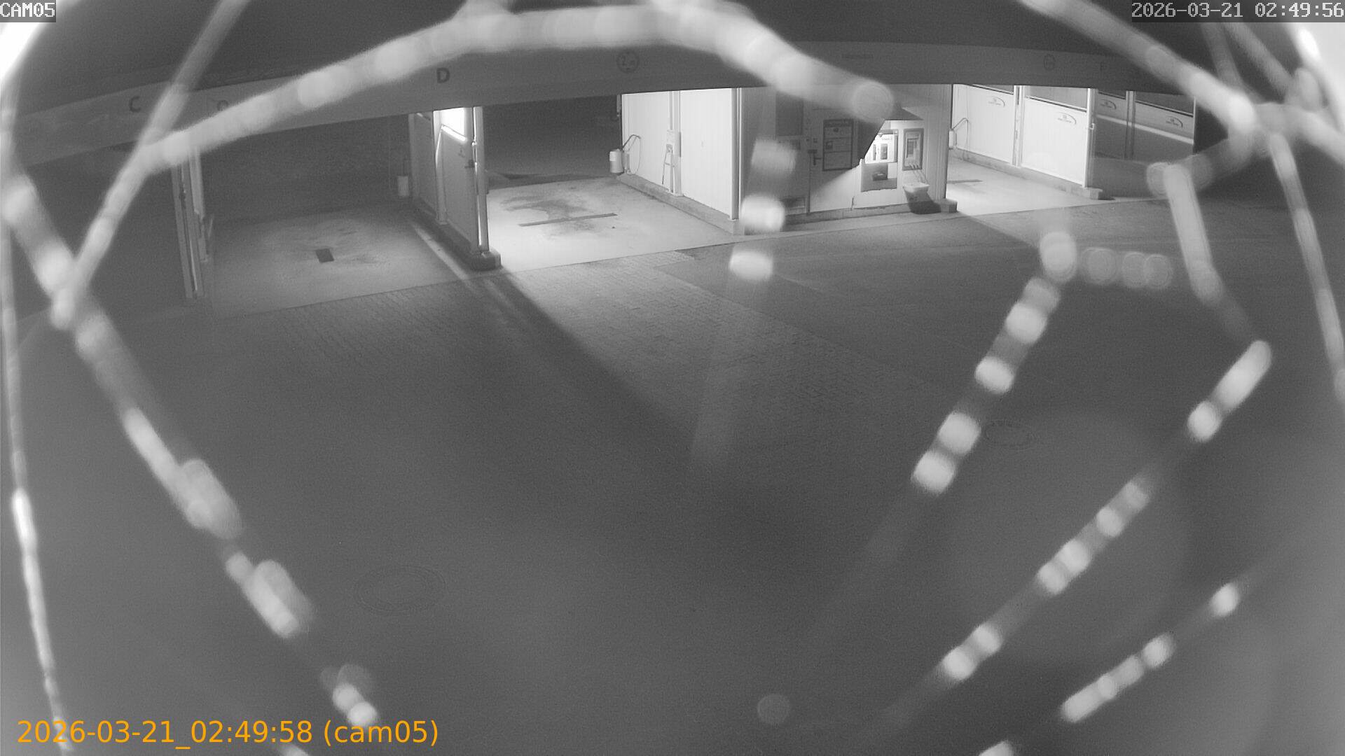 thumbnail_20260321024958