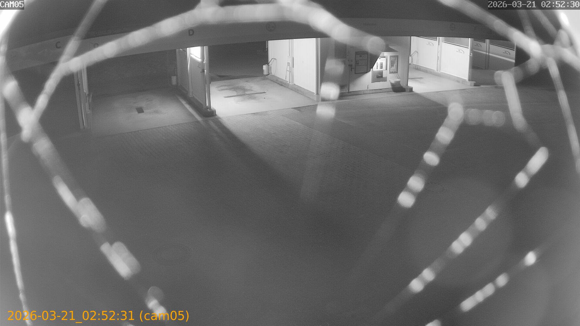 thumbnail_20260321025231