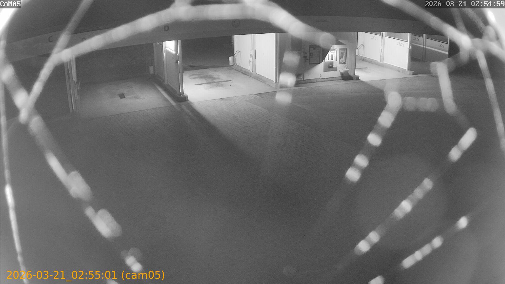 thumbnail_20260321025501