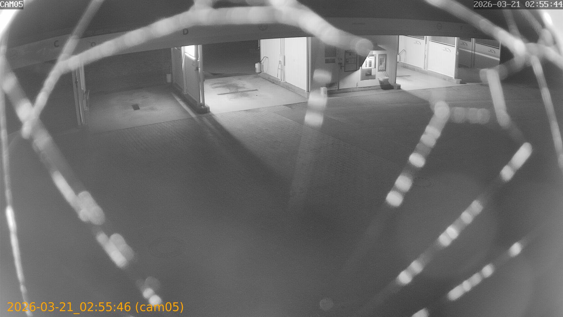 thumbnail_20260321025546