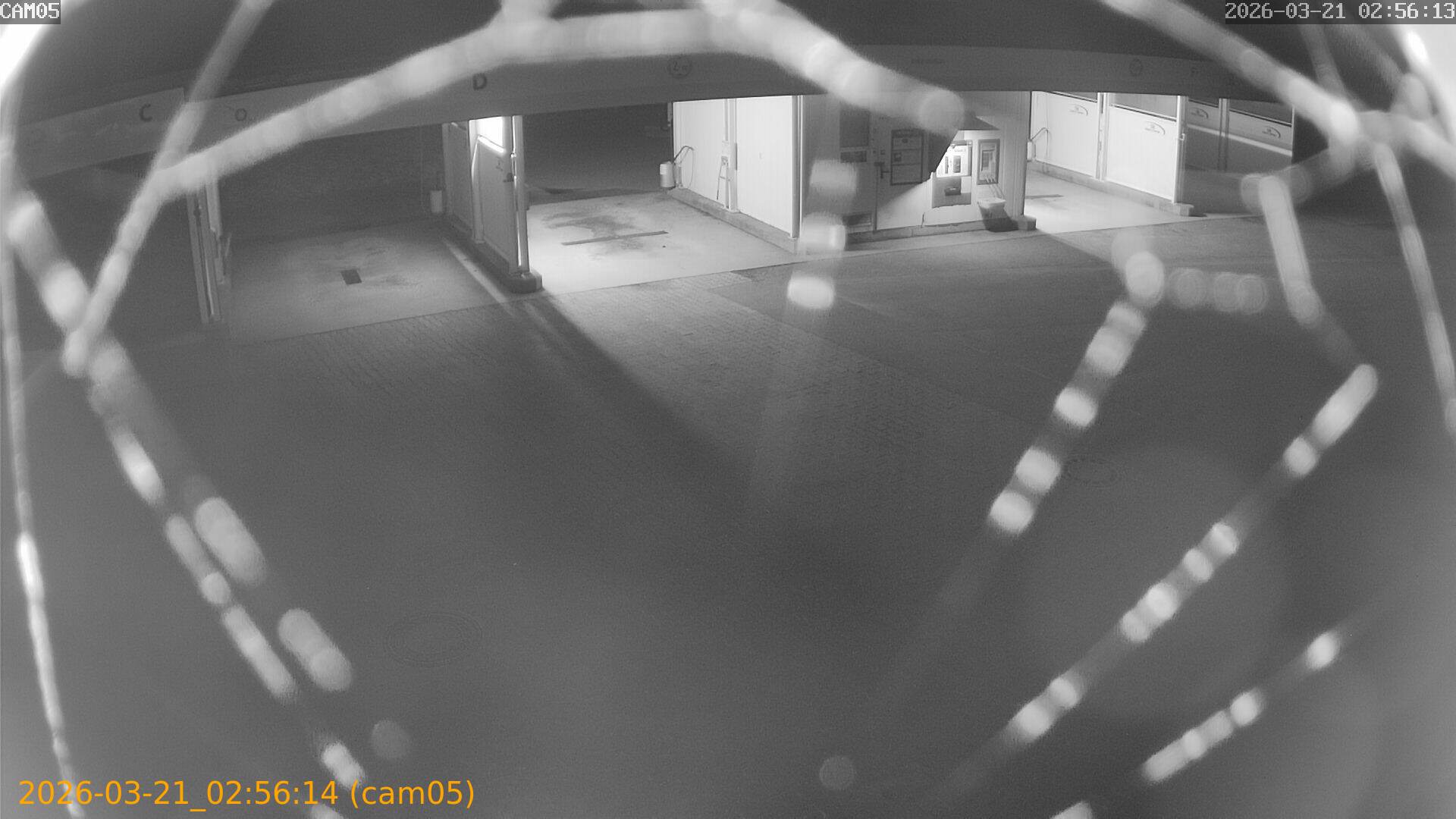 thumbnail_20260321025614