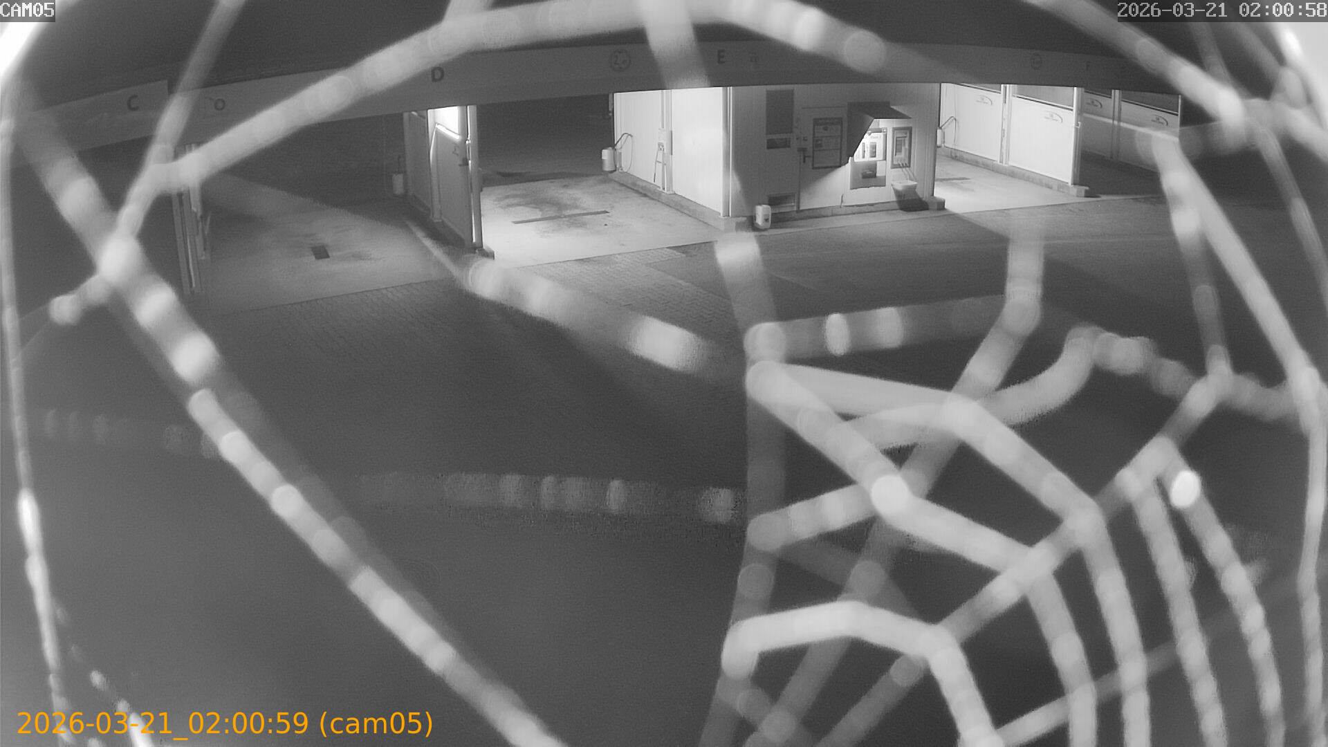 thumbnail_202603210200