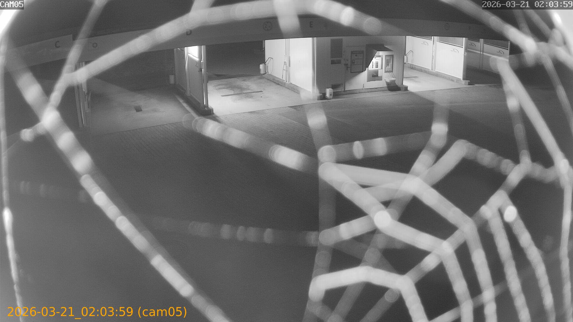 thumbnail_202603210203