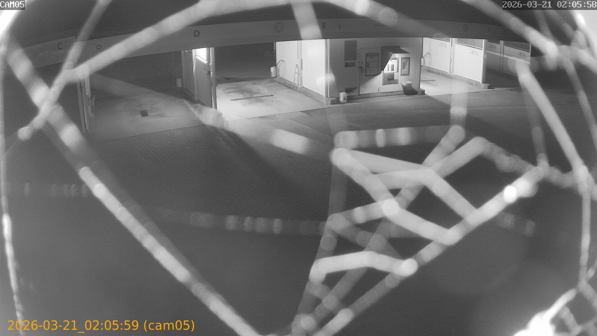 thumbnail_202603210205