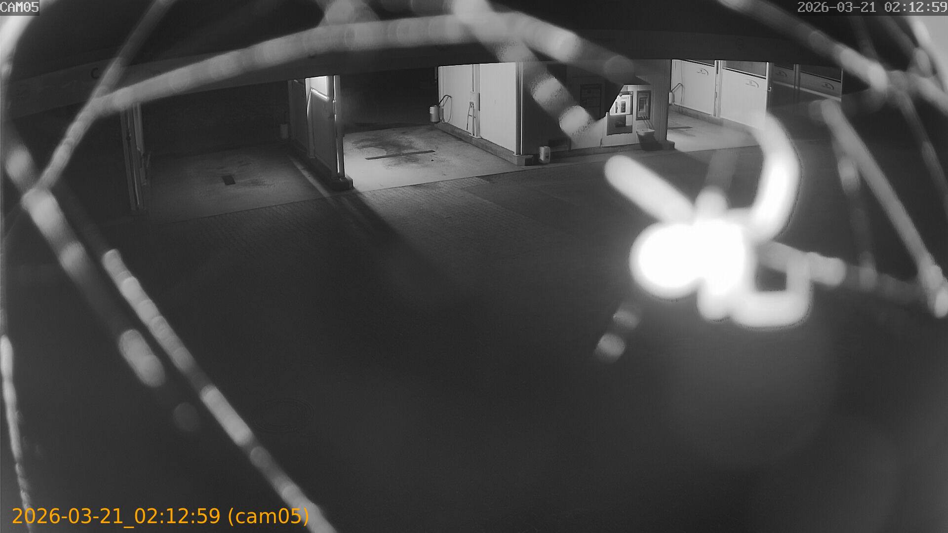 thumbnail_202603210212