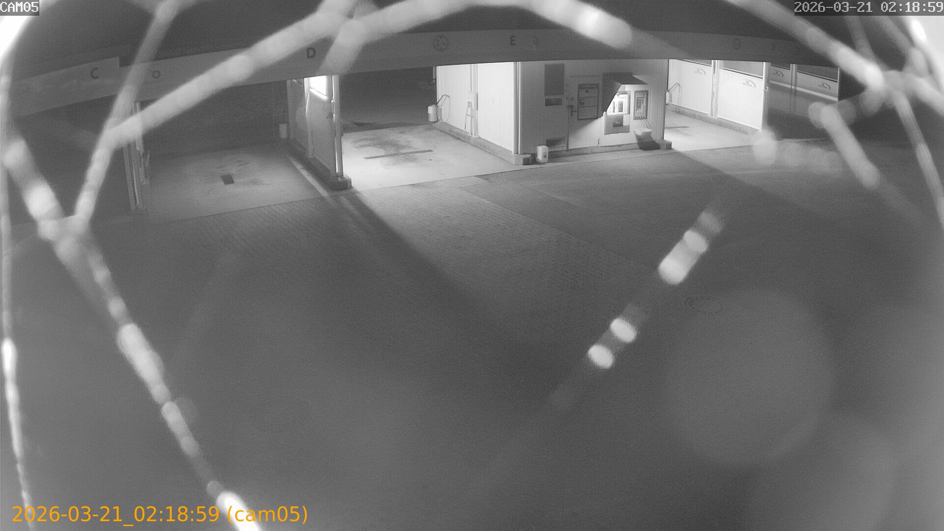 thumbnail_202603210218