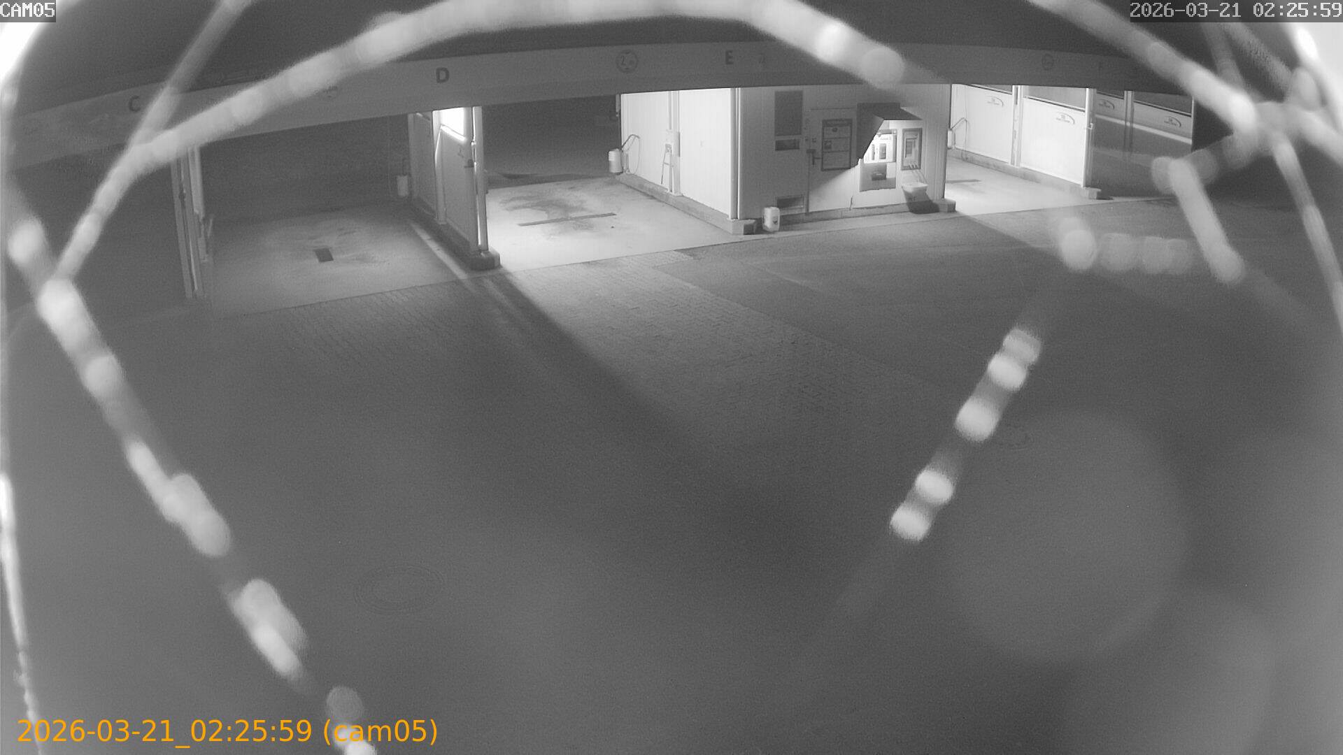 thumbnail_202603210225