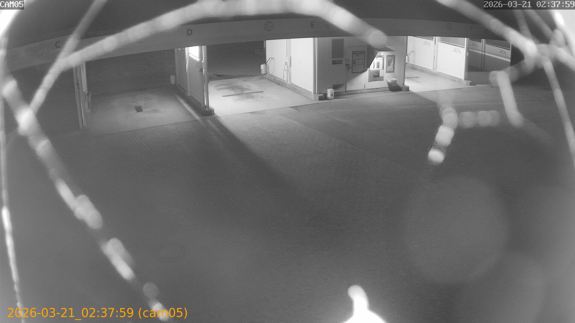 thumbnail_202603210237