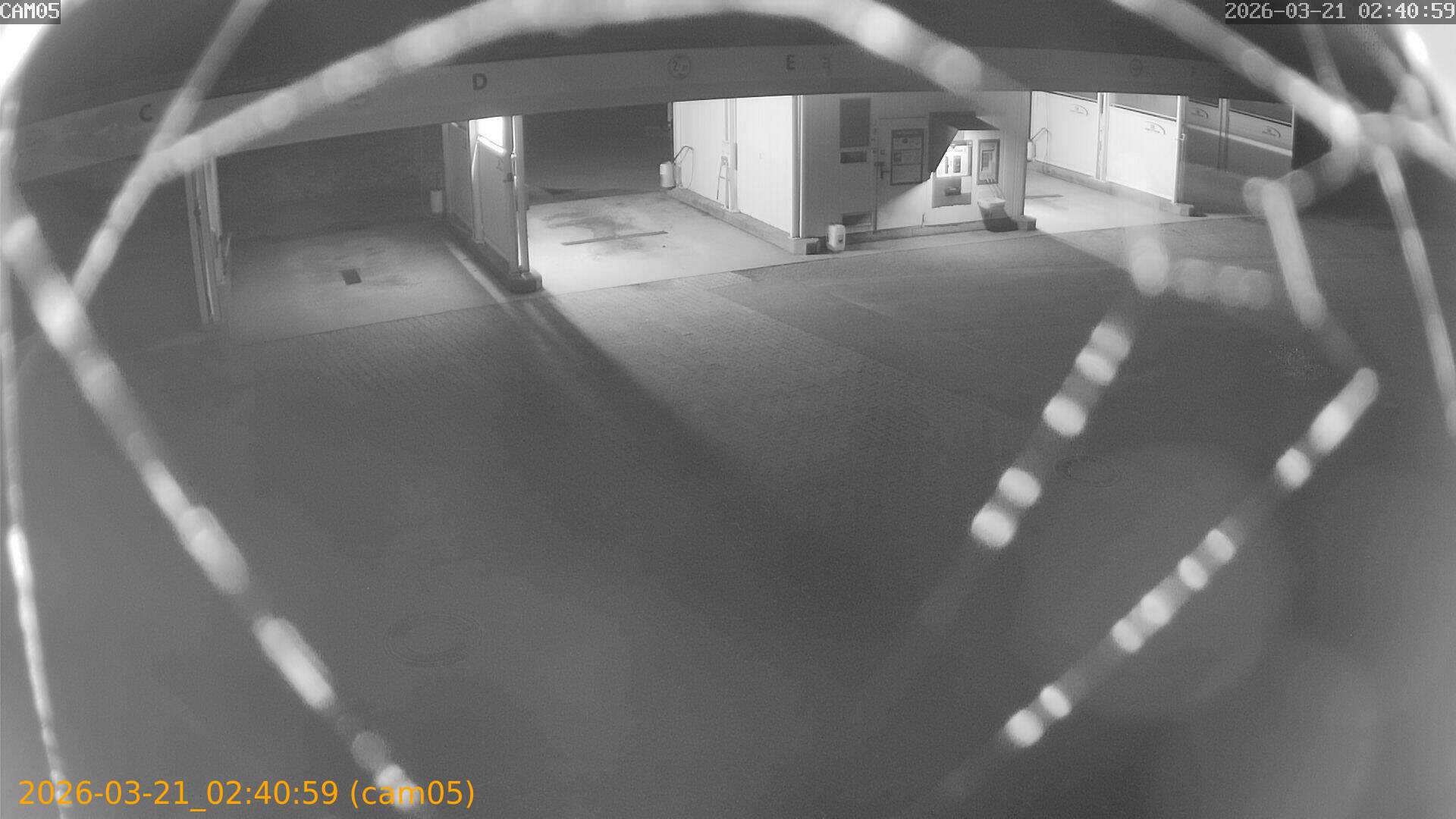 thumbnail_202603210240